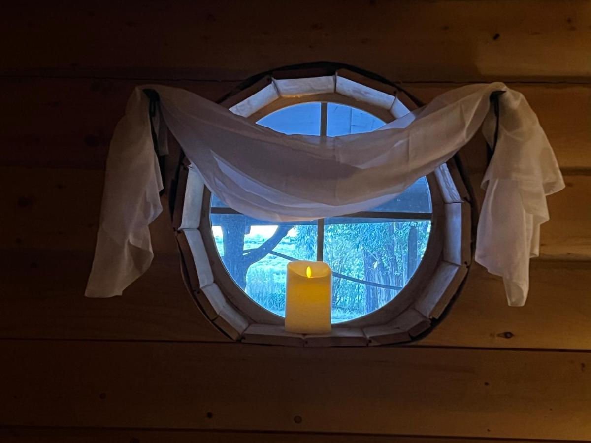 The Gratitude Homestay Alamosa Extérieur photo