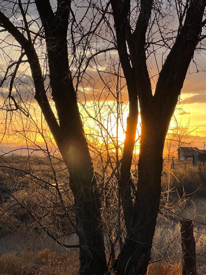 The Gratitude Homestay Alamosa Extérieur photo