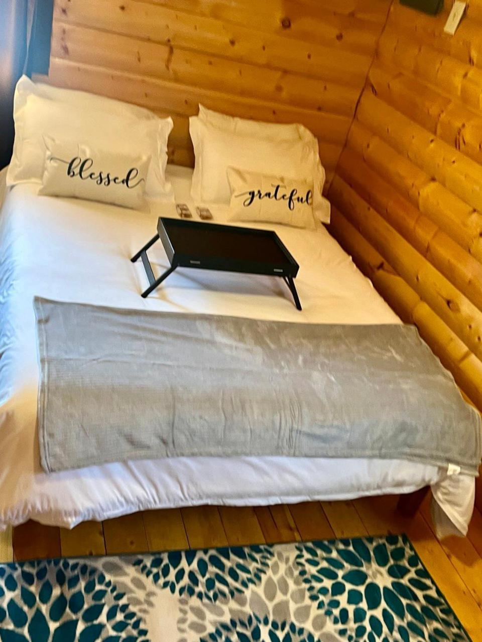 The Gratitude Homestay Alamosa Extérieur photo