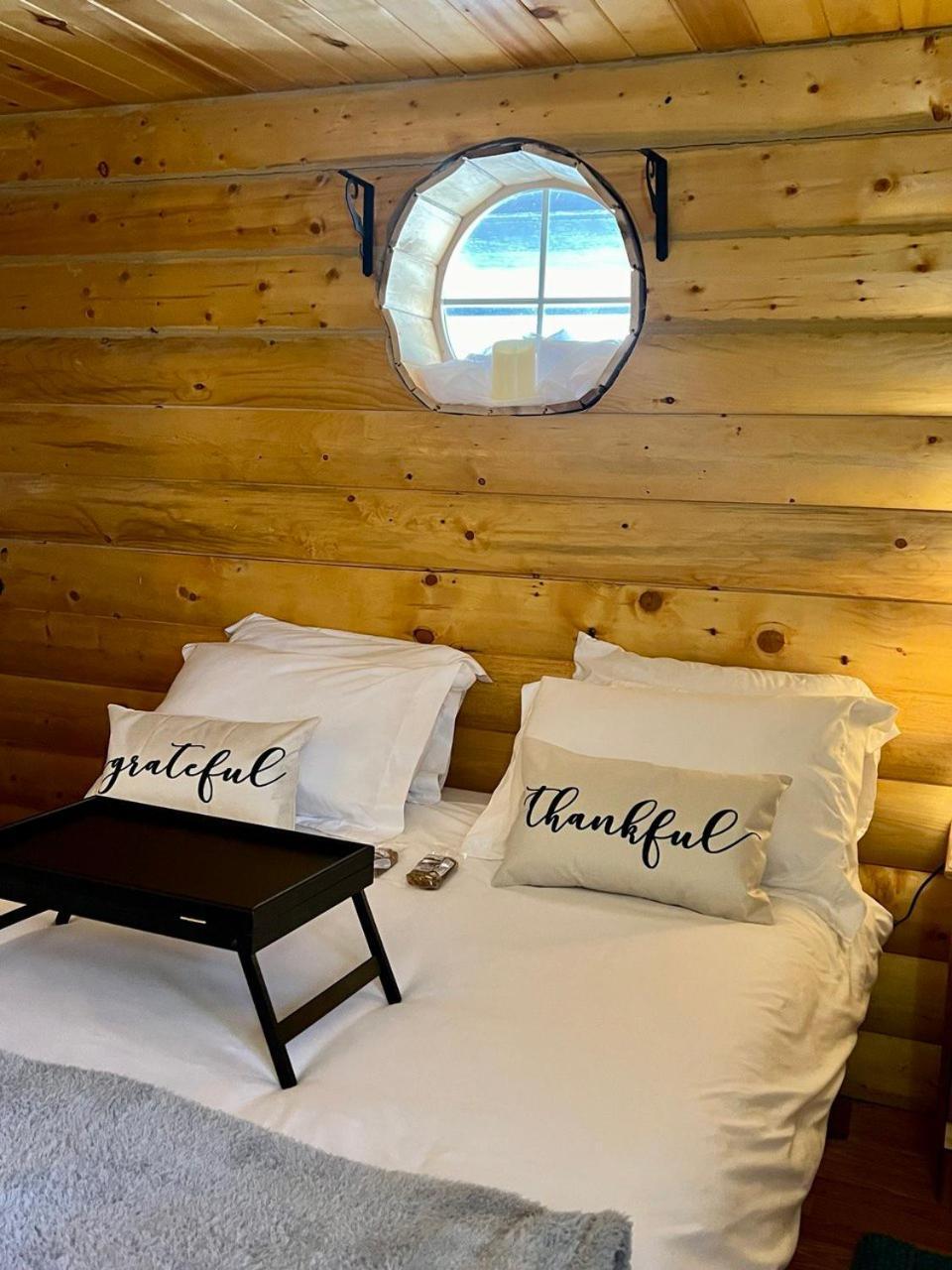 The Gratitude Homestay Alamosa Extérieur photo